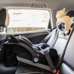 Rétroviseur mignon de conception de dessin animé d'ours pour sièges d'auto et accessoires de bébé - Image 5